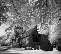 Group B - Highly Commended - Just a Summers Day - Tony Griffith