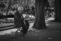 Group B - Commended - The Reader - Simon Brown