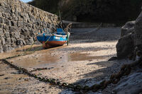 Group B - Third - Daisy Mae - David Owen