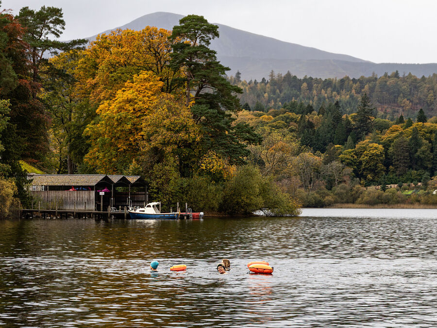 Group B - Commended - The Morning Swim - Frank Lock