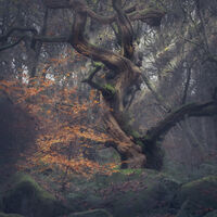 Group B - Second - Young and Old - Rich Elsley