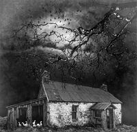 Group A - Commended - Moonlight through the Branches - Horace Goodenough