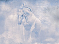 Commended - White Stallion - Martin Janes