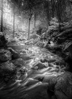 Group A - First - Ethereal - Martin Janes