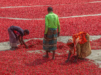 Commended - Red Hot Chilli Peppers - John Whitby