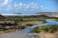 Commended - Shoreline Exploration - David Owen