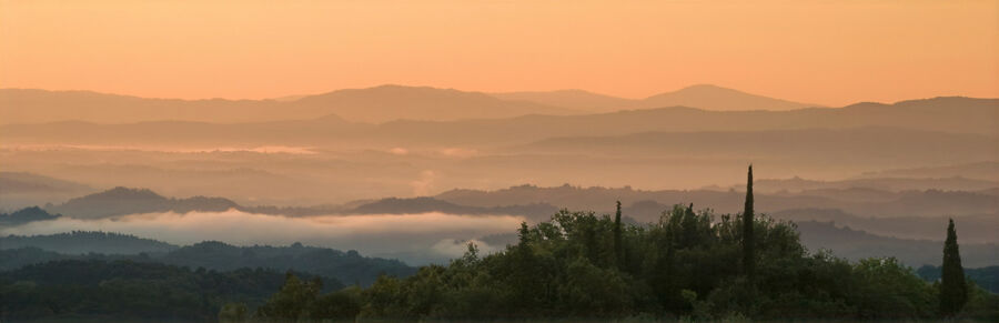 Commended - Tuscan Morning - Alan Freestone