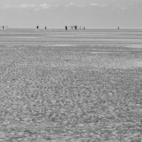 Long Walk