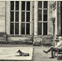 Master of the House - John Whitby (C)