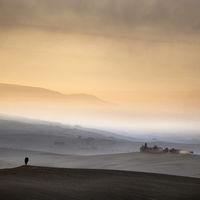 Morning Mood - John Whitby