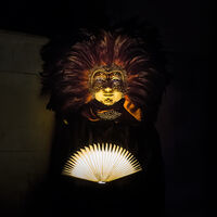 Night Reader--Martin Janes--2