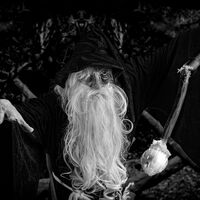 None Shall Enter Here - Carrie Woodhead