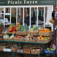 Norfolk Life - Megan Lockington