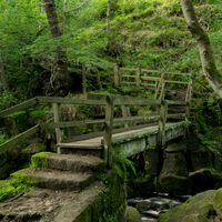 Padley Gorge - James Attenborough