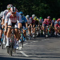 Peloton - Robb Doyle
