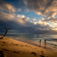Playing in the Surf - Martin Janes