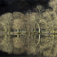 Reflections at Buttermere - Barry Welch