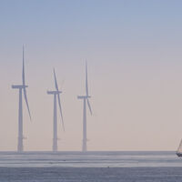 Sail Into The Wind - Martin Janes (C)