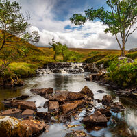 Scottish Moorland Stream - Clive Bew