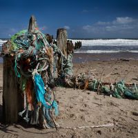 Sea Waste - Howard Styles