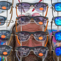 Shades of Invisibility - Neil Raffan