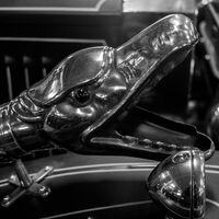 Snake Head - Mike Helft