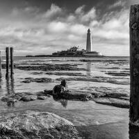 St Marys - Mike Dawes
