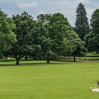 Sunbathing on the Lawn