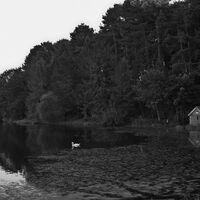 Swithland