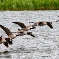 Take off