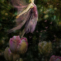 Taking Flight - Catherine Knee