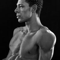 The Body of a Dancer - Alan Freestone