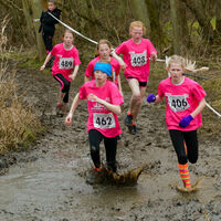 The Cross Country Run