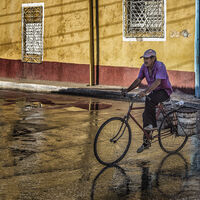 The Cyclist - Martin Janes