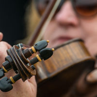 The Fiddler - Neil Raffan