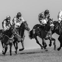 The Race is On - Horace Goodenough