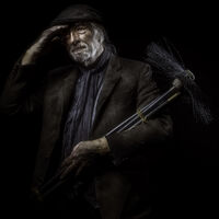 The Sweep - Andrew Senior