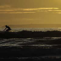 Topping Out - Richard Hilsden