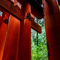 Torii Torii--Matt Browne--2