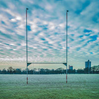 Vicky Park