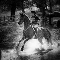 Water Splash - Andrew Senior