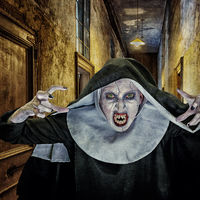 Welcome to the Convent - Jim Monk