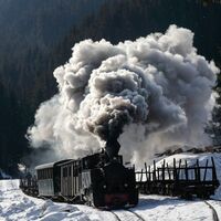 Winter Steam Martin Robinson