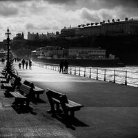 Winter Walk - Howard Styles