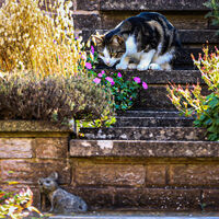 curiosity--david walters--2