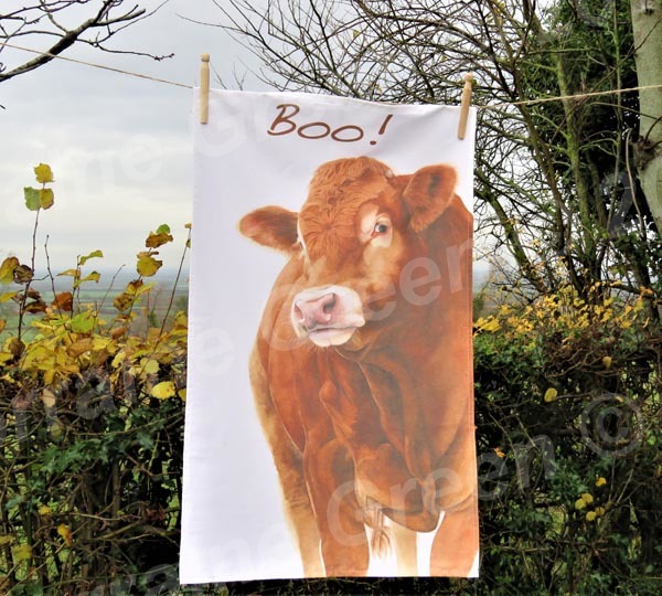 Boo! A cotton tea towel featuring 'Hector' the Limousin bull image.