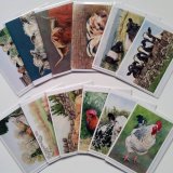 Greeting Cards - any 5 Cards for £6 (buy 4 get 1 free)