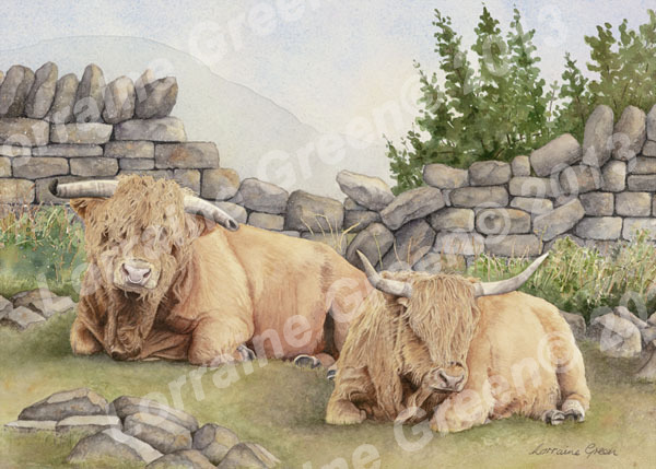 print taken from a painting of 2 highland cows