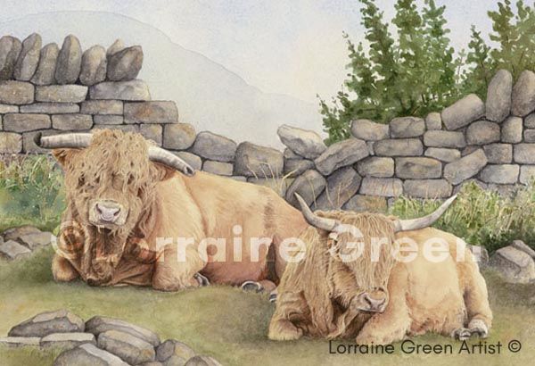A6 Greetings card featuring 2 Highland cows