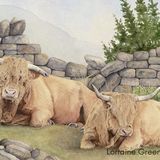 LG12 Highland Cattle A6 Greetings card featuring 2 Highland cows